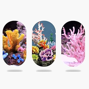 天然 サンゴ 置物 女 人 Amazon.co.jp: Luottus 珊瑚 人工サンゴ 水槽 コーラル オブジェ